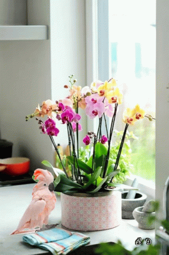 A Pink Parrot Sits Next To A Potted Plant With Orchids GIF