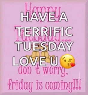 A Pink Poster That Says Have A Terrific Tuesday Love U Don T Worry Friday Is Coming !!! GIF