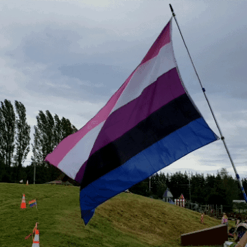 A Pink Purple And Blue Flag Is Flying In A Field GIF