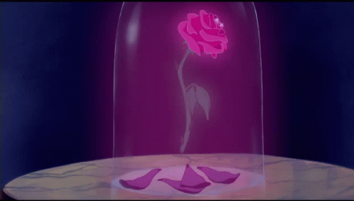 A Pink Rose In A Glass Dome With Petals GIF