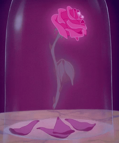 A Pink Rose In A Glass Dome With Petals Around It GIF