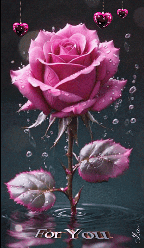 A Pink Rose Is Surrounded By Hearts And The Words " For You " On The Bottom GIF