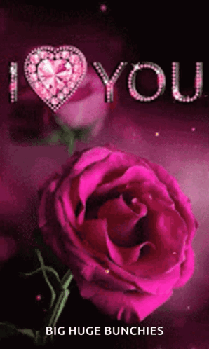 A Pink Rose Is Surrounded By The Words I Love You GIF