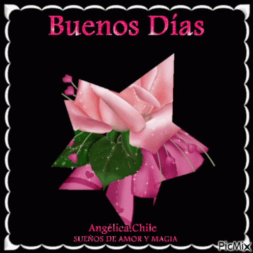 A Pink Rose With Green Leaves And A Pink Bow On A Black Background That Says Buenos Dias GIF