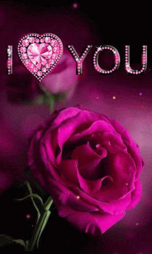 A Pink Rose With The Word I Love You Written On It GIF