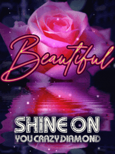 A Pink Rose With The Words Beautiful Shine On You Crazy Diamond GIF