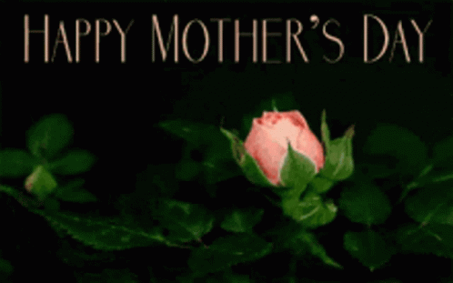 A Pink Rose With The Words Happy Mother 'S Day Below It GIF