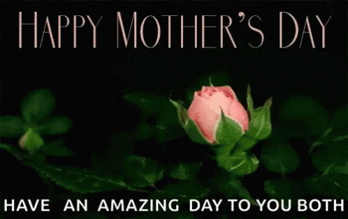 A Pink Rose With The Words Happy Mother 'S Day Have An Amazing Day To You Both Below It GIF