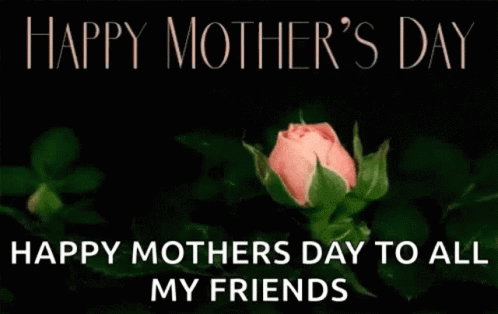 A Pink Rose With The Words `` Happy Mother 'S Day To All My Friends '' GIF