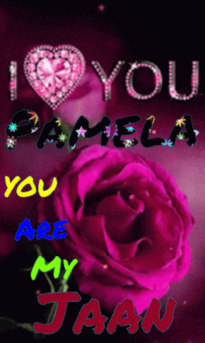 a pink rose with the words i love you pamela you are my jaan on it