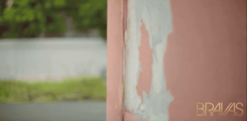 A Pink Wall With Bravas Written On The Bottom GIF