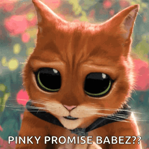 A Pinky Promise Babez Is Written On A Picture Of A Cat GIF