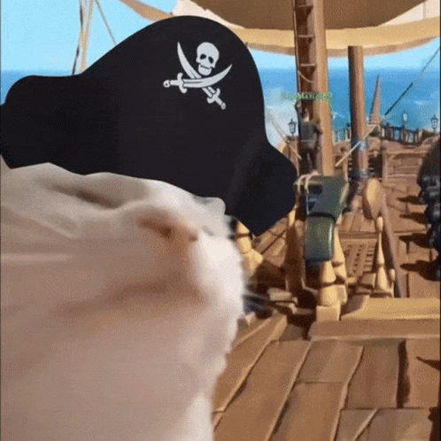 A Pirate Hat With A Skull And Crossbones And Two Swords On It GIF