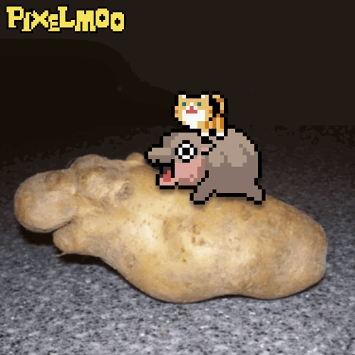 A Pixel Art Image Of A Cat Riding A Hippopotamus On Top Of A Potato GIF