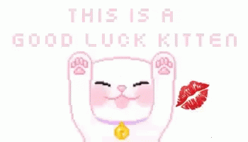 A Pixel Art Of A Cat With The Words `` This Is A Good Luck Kitten '' . GIF
