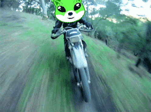 A Pixel Art Of A Person Riding A Dirt Bike With A Green Hamster On Their Head GIF