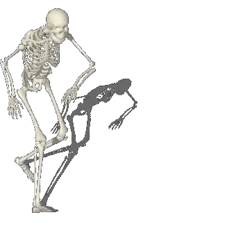 a pixel art of a skeleton standing next to its shadow on a white background