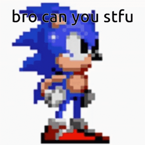 A Pixel Art Of Sonic The Hedgehog With The Words `` Bro Can You Stfu '' GIF