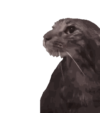 a pixelated image of a cat looking up at the camera