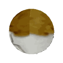 a pixelated image of a man 's head in a circle