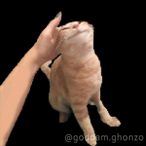 A Pixelated Image Of A Person Petting A Cat With The Hashtag Goddam.ghonzo GIF