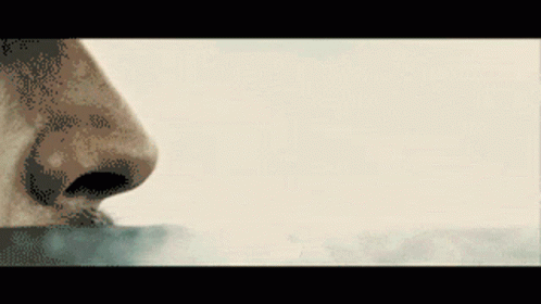 A Pixelated Image Of A Person 'S Nose Smelling Something GIF