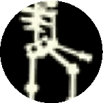 a pixelated image of a skeleton in a circle .