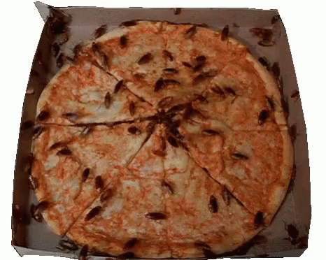 A Pizza In A Box Covered In Cockroaches GIF