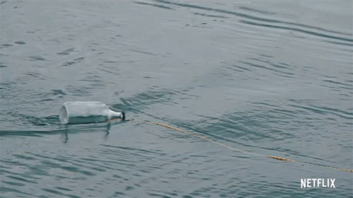 A Plastic Bottle Is Floating In The Water . GIF