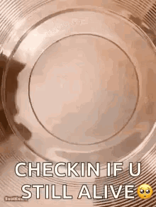 A Plastic Plate With The Words `` Check In If U Still Alive '' Written On It . GIF