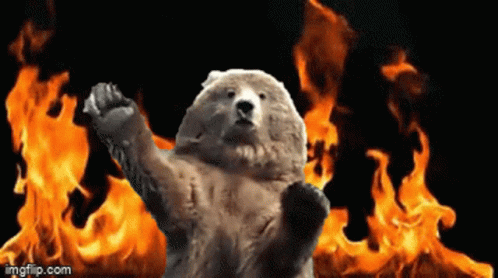 A Polar Bear Is Standing In Front Of A Fire With A Black Background GIF