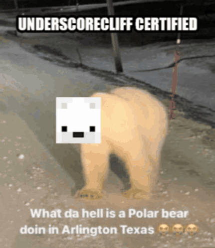 A Polar Bear On A Leash With Underscorecliff Certified GIF