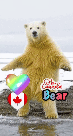 A Polar Bear Standing On Its Hind Legs With A Heart And A Canadian Flag Behind It GIF
