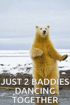 A Polar Bear Standing On Its Hind Legs With The Words Just 2 Baddies Dancing Together Above It GIF
