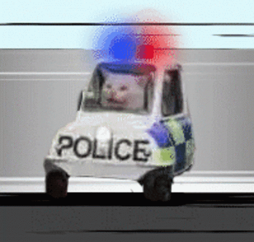 A Police Car With A Cat In The Back GIF
