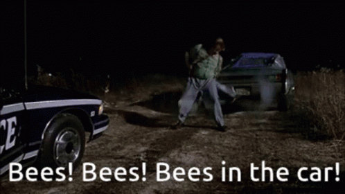 A Police Car With The Words Bees Bees Bees In The Car On It GIF