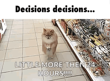 A Pomeranian Dog Is Walking Down The Floor Of A Grocery Store . GIF