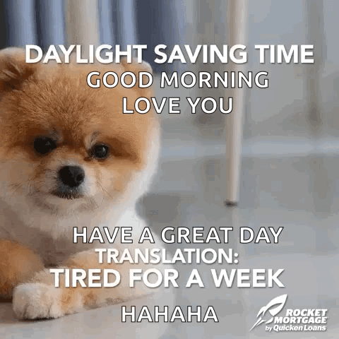 A Pomeranian Dog Laying On The Floor With A Daylight Savings Time Message GIF