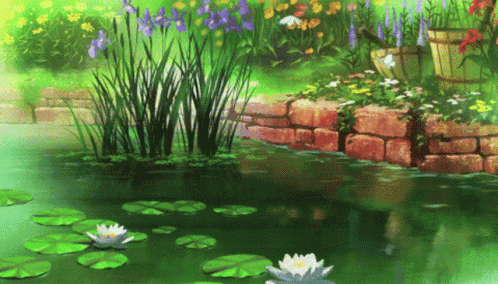 A Pond With Lily Pads And Flowers In It GIF