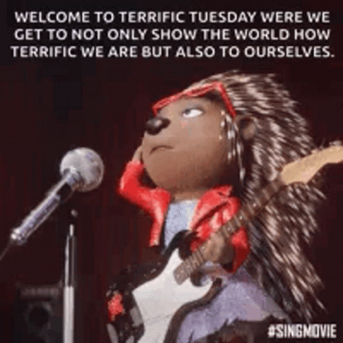 A Porcupine Is Playing A Guitar In Front Of A Microphone . GIF