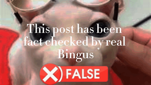 A Post Has Been Fact Checked By Real Bingus And Has An X On It GIF