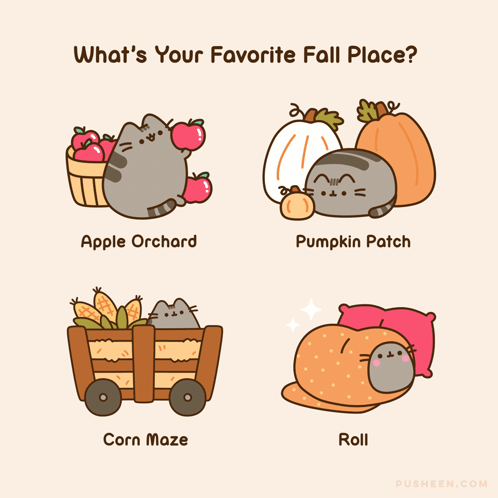 A Poster Asking What 'S Your Favorite Fall Place With A Cat In An Apple Orchard Pumpkin Patch And Corn Maze GIF