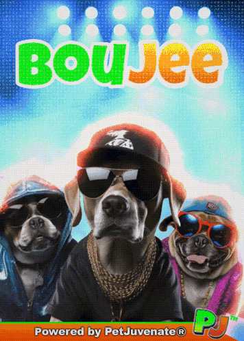 A Poster For Boujee Shows Three Dogs Wearing Hats Sunglasses And Chains GIF