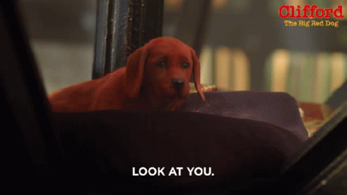 A Poster For Clifford The Big Red Dog Shows A Red Dog In A Car GIF