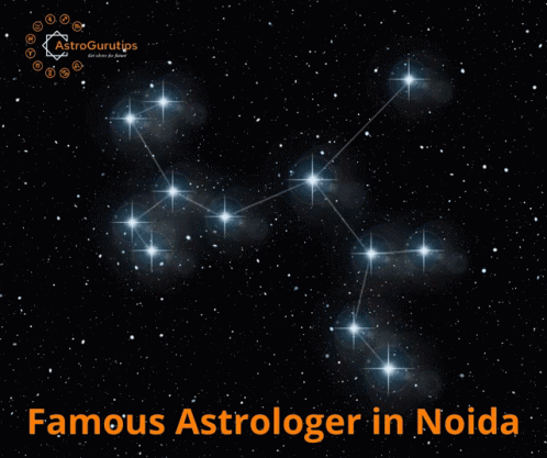Famous Astrologer Poster In Noida With Paw Prints GIF