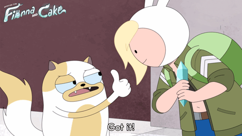Finna And Cake Poster With Cat And Boy GIF