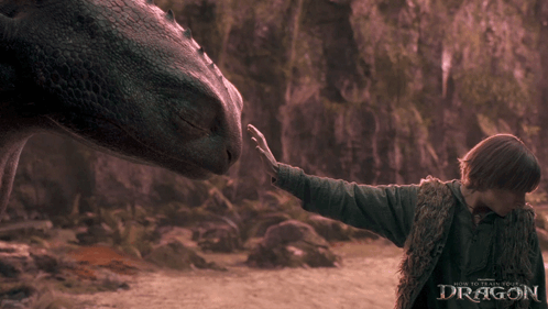 A Poster For How To Train Your Dragon Shows A Boy Petting A Dragon GIF