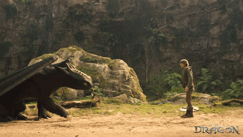 A Poster For How To Train Your Dragon With A Boy And A Dragon GIF