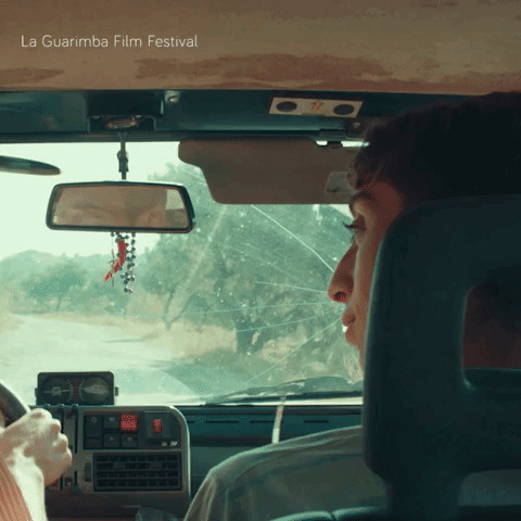 A Poster For La Guarimba Film Festival Shows A Man Sitting In The Driver 'S Seat GIF
