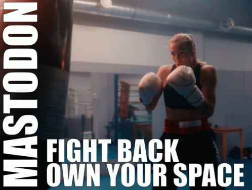 A Poster For Mastodon Shows A Female Boxer In A Gym GIF